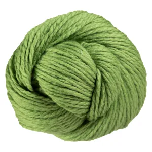 Cascade Yarns 128 Superwash Yarn - 841 Moss