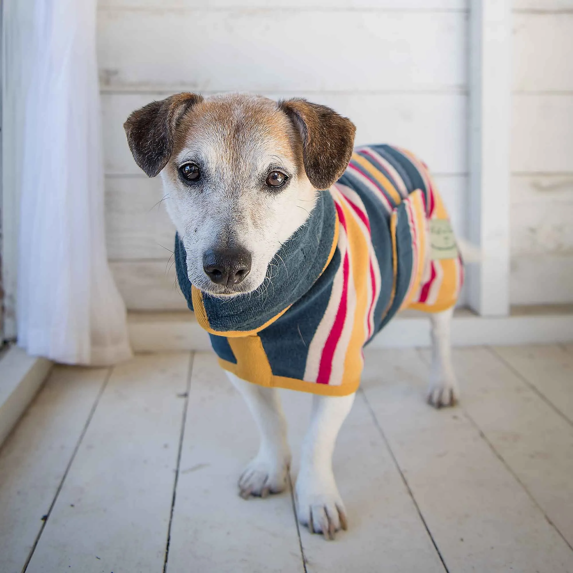 Dog Drying Coat Beach Design Collection by Ruff and Tumble