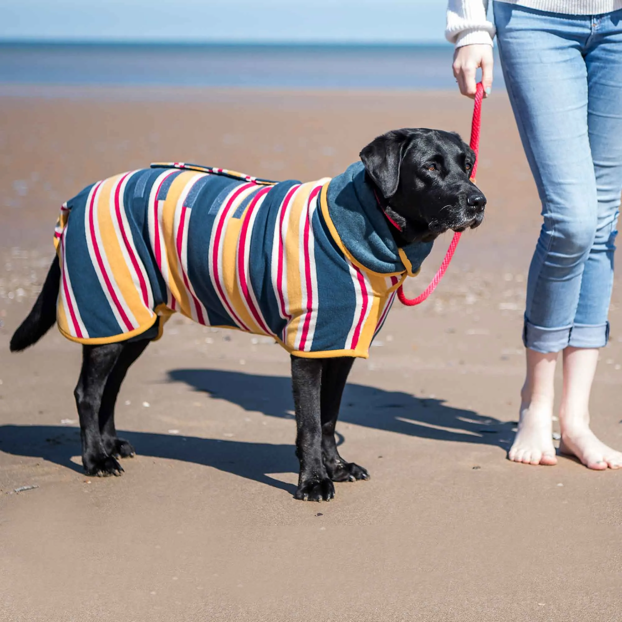 Dog Drying Coat Beach Design Collection by Ruff and Tumble