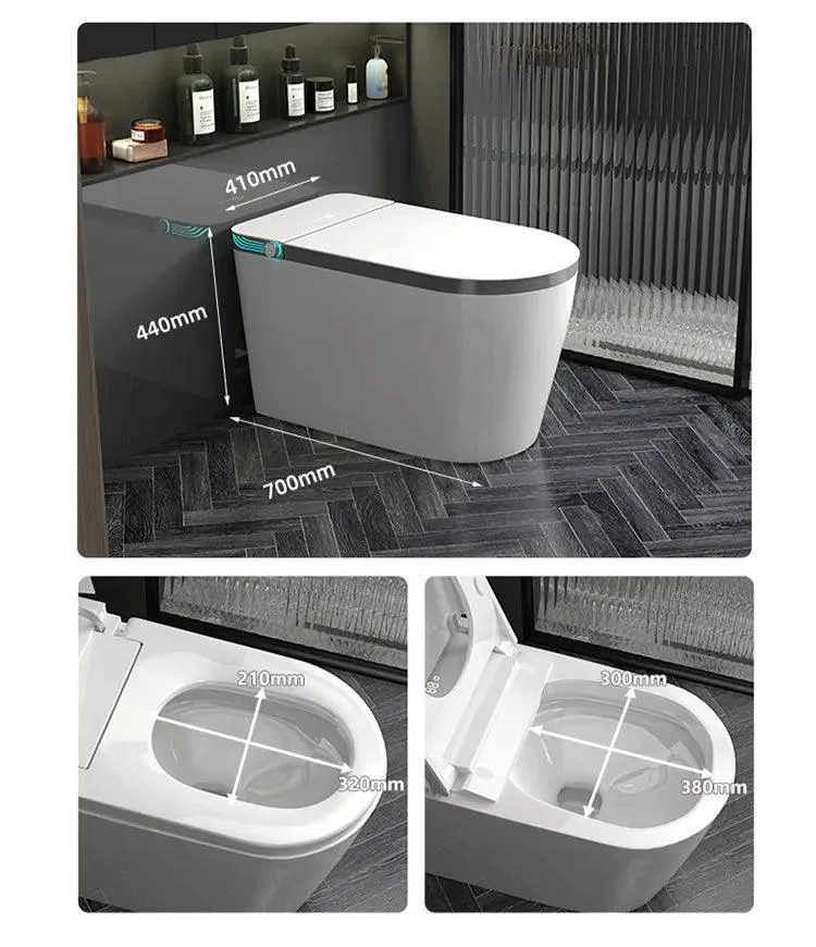 Smart LED Luxury Bidet Toilet with Gold Trim